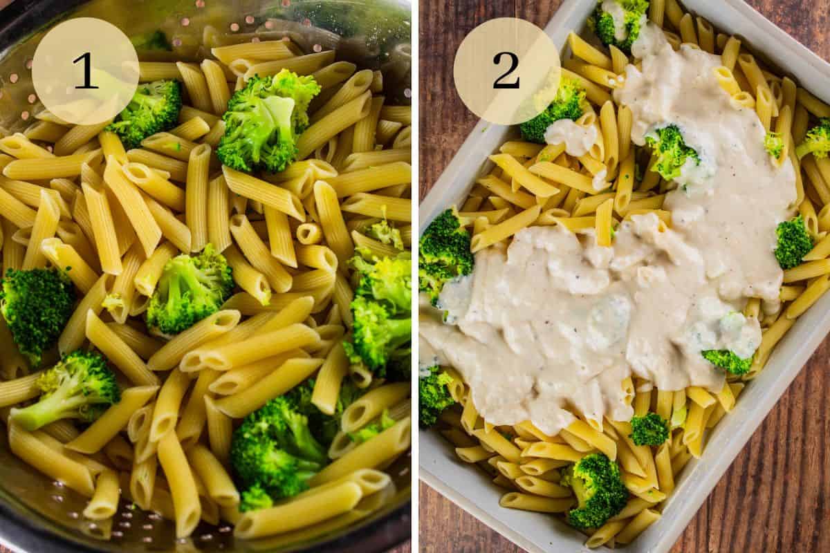 cooked pasta and broccoli in a colander and in a dish with alfredo sauce on it.