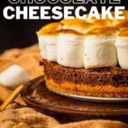 smores cheesecake with toasted marshmallows on top.