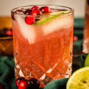 glass filled with cranberry moscow mule, ice cubes, fresh cranberries and a lime wheel