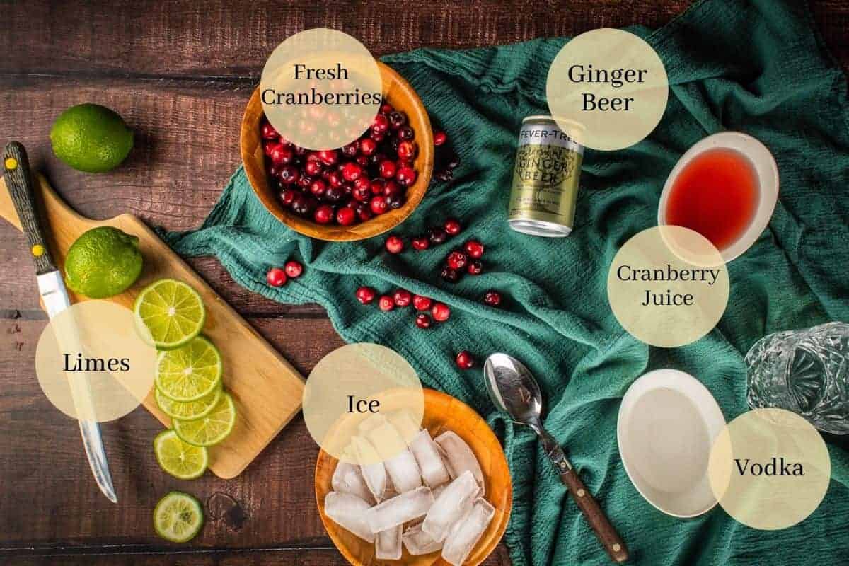 fresh whole cranberries, cranberry juice, fresh sliced limes, can of ginger beer, ice and vodka
